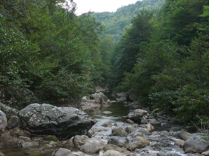 Valle del Farma e Stagno della Troscia: luoghi meravigliosi!